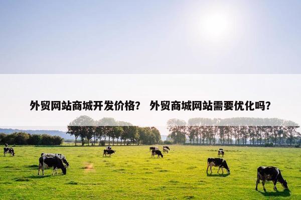 外贸网站商城开发价格？ 外贸商城网站需要优化吗？