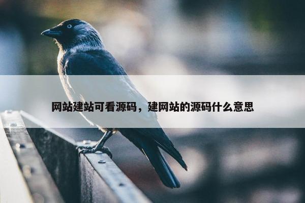 网站建站可看源码，建网站的源码什么意思