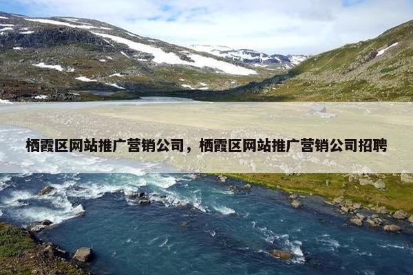 栖霞区网站推广营销公司，栖霞区网站推广营销公司招聘