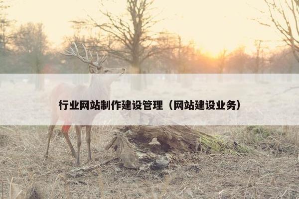 行业网站制作建设管理（网站建设业务）