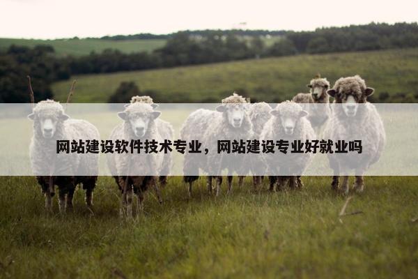 网站建设软件技术专业，网站建设专业好就业吗