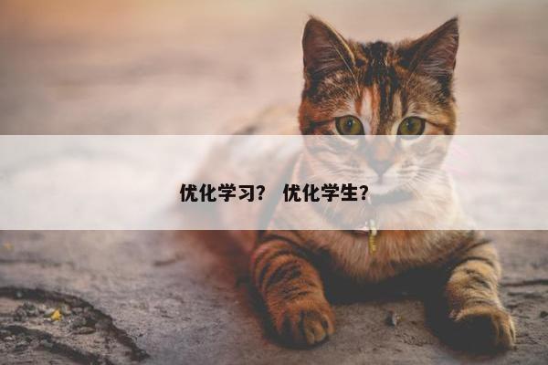 优化学习？ 优化学生？